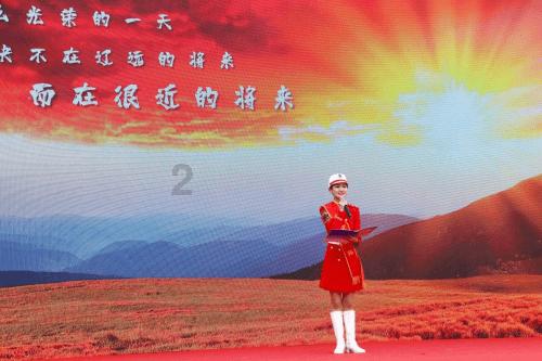 动物帮帮忙保卫家园